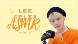 ↳ Felix speaking English ASMR 1hr version ✨ [upl. by Terchie]