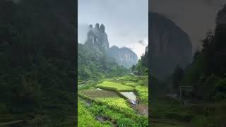 Water River Sound And Relax Music  White Noise  Short Video  waterfall watersounds shorts [upl. by Daas785]