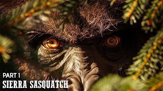 The Sierra Sasquatch Sightings  Part 1  Carl Crusher [upl. by Gardal803]