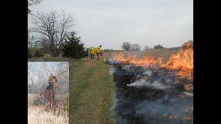 Prescribed Burn 1 Fireguards  Firebreaks 1 of 3 [upl. by Durwyn]