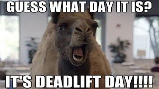 Deadlift Day MyRack Lat PulldownRow Review Plus FULL Wendler Back Workout [upl. by Enilekcaj]