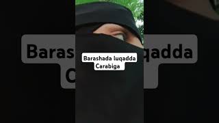 Barashada luqadda Carabiga تعليم اللغة العربية [upl. by Anissej]