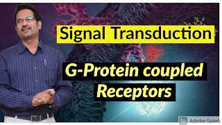 Signal Transduction amp G Protein Coupled Receptors  Gs Gi amp Gq [upl. by Karwan526]