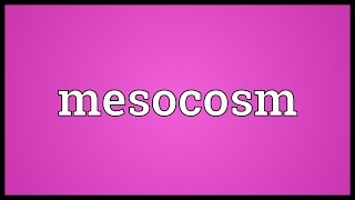 Mesocosm Meaning [upl. by Ecirahs874]