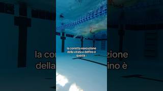 la virata a delfino nuoto nuotoagonistico viratanuoto sport nuotoitalia [upl. by Ailahtan]