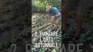 Orto a SETTEMBRE 3 cose da fare [upl. by Assile666]