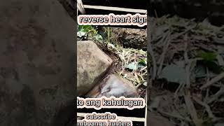 yamashitatreasure kahulugan Ng heart shaped na bato buriedtreasure [upl. by Baniaz]