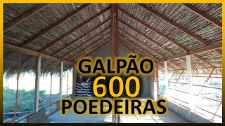 GALPÃO para 600 GALINHAS POEDEIRAS MENOR CUSTO de IMPLANTAÇÃO [upl. by Aedni]