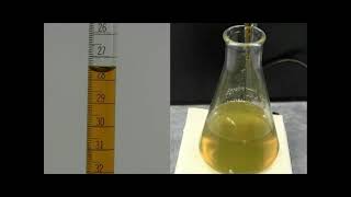 Dichromate Titration Set [upl. by Stochmal]