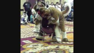 Furry Fiesta 09  Musical Chairs Calamidy Cougar VS Jase Husky [upl. by Hillery273]