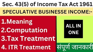 Speculative Business Income in income tax  how to calculate speculative business income for tax [upl. by Anyehs835]