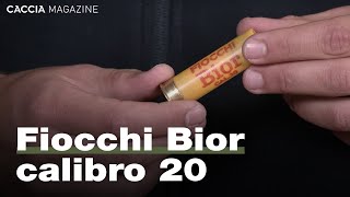 Fiocchi Bior calibro 20  Recensione e prova di rosata [upl. by Anatsirhc]