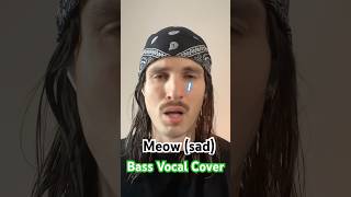 Meow sad Bass Vocal Cover meow sadmeow whatwasimadefor bassvocals basssinger billie [upl. by Ycrad]