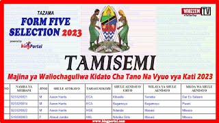 Jinsi Ya Kutazama Selection za Kidato Cha Tano 2023  TAMISEMI Form five Selection 2023 [upl. by Emeline]