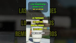 ¿ES BUENA LA LECHE 🥛 DESCUBRE SUS BENEFICIOS Y RIESGOS cuidado saludables lácteos [upl. by Meehar406]