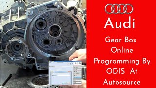 How to do AUDI DSG GEARBOX ONLINE PROGRAMMING Auto source  Odis [upl. by Hepsiba245]