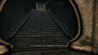 Skyrim The Retching Netch [upl. by Newlin682]