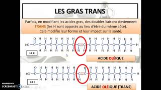 Cours 14  Lalimentation Les lipides [upl. by Anafetse]