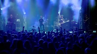 The Ocean  quotThe Grand Inquisitor II Roots amp Locustsquot Summer Breeze 2011  OFFICIAL LIVE VIDEO [upl. by Melantha]