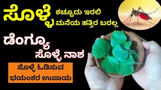 ಸೊಳ್ಳೆಗಳಿಗೆ ಹೇಳಿ ಬೈ ಈ ಎಲೆ ಇಂದ ನಿಮಿಷದಲ್ಲೇ ಮನೆಯಲ್ಲಿರುವ ಸೊಳ್ಳೆಗಳೆಲ್ಲವೂ ಮಾಯ  Get Rid of Mosquitoes [upl. by Nodyl826]