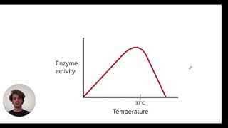 MCAT Question of the Day Enzyme Dynamics [upl. by Dodds374]