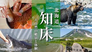 【北海道旅行】知床観光モデルコースと標津サーモン科学館を満喫する旅 [upl. by Neona]