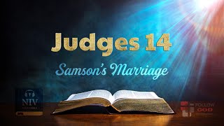 The Book of Judges  Chapter 14 Samson’s Marriage  NIV Audio Bible [upl. by Nuncia]