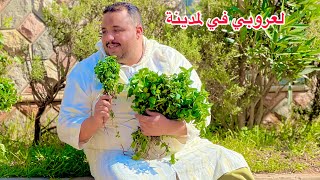 عروبي باع لبقرة ومشا لمدينة وطاح في ميمة مليحة نصبات عليه…ومتوقعش بلي… [upl. by Snowman461]