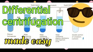 Differential Centrifugation Made easy😎🔥 [upl. by Keppel]