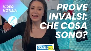 Prove Invalsi che cosa sono [upl. by Yllaw]