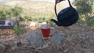 أجواء موسم الزيتون في عفرين، من بيرتاكري عفرينامن ❤ Olive 🫒 season in Afrin [upl. by Ettenaj]