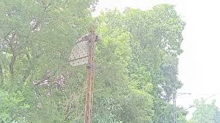 Heritage old signal system Indian Railway viralvideo indianrailwaytracks signals [upl. by Ogir]