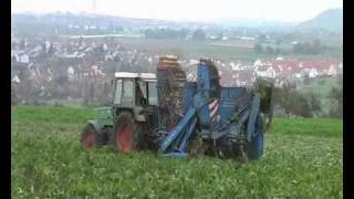 Rübenernte Fendt Farmer 310 mit Schmotzer Roder 2007 [upl. by Goldfarb]