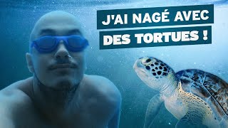 SNORKELLING AVEC DES TORTUES GEANTES  🇱🇰 [upl. by Yeclek711]