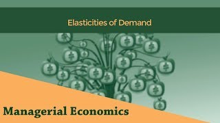 Elasticities of Demand  Price Elasticity  Income Elasticity [upl. by Laon]