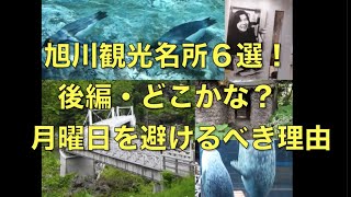 ２・旭川観光名所6選！後編・どこかな？月曜日を避けるべき理由 [upl. by Asemaj684]