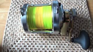 Shimano Talica TAC25II 2 Speed with PMR Bespoke Custom® Titanium Super Mag [upl. by Berey]