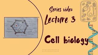 Cell Biology  Plant cell  Lecture 3 [upl. by Berger]