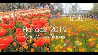 Floriade 2019 Full Walking Tour Australias Biggest Celebration of Spring Canberra ACT [upl. by Eirek926]