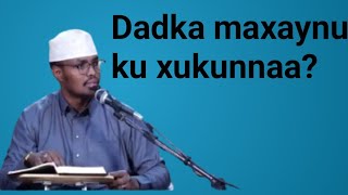 SH XASSAAN XUSSEEN AADAMKUXIR NOOW Daaru Salaam [upl. by Maon912]