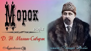 Д Н МаминСибиряк МОРОК Очерк Аудиокнига Читает Геннадий Долбин [upl. by Annel]