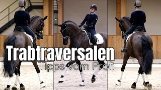 quotDer größte Fehler in den Traversalen ist esquot  Kleine Tricks fürs Training 🤩 🐴 [upl. by Ribak]