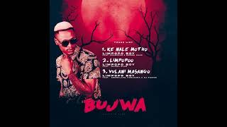 Limpopo Boy  LIMPOPOO  ft Mkoma Saan [upl. by Ramo]