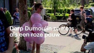 Dorp Dumoulin is zo trots als een roze pauw  RTL NIEUWS [upl. by Noicnecsa460]