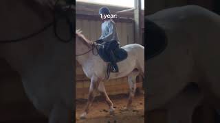 1 year horse riding anniversary dressage equestrian horse horseriding [upl. by Georgina894]