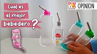 Que bebedero es mejor para hámster 🐹 ¿Cómo dar agua a un hámster [upl. by Garrett496]