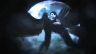 Maximum Ride Book Trailer [upl. by Kellyann194]