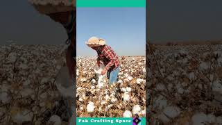 Cotton Ginning Process [upl. by Anikat]