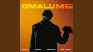 Omalume feat Sykes Dash SA Springle Supremme amp T amp TMusiq [upl. by Aldos186]