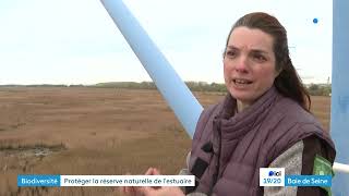 Découvrez la réserve naturelle de lestuaire de la Seine un joyau écologique menacé [upl. by Pennie624]